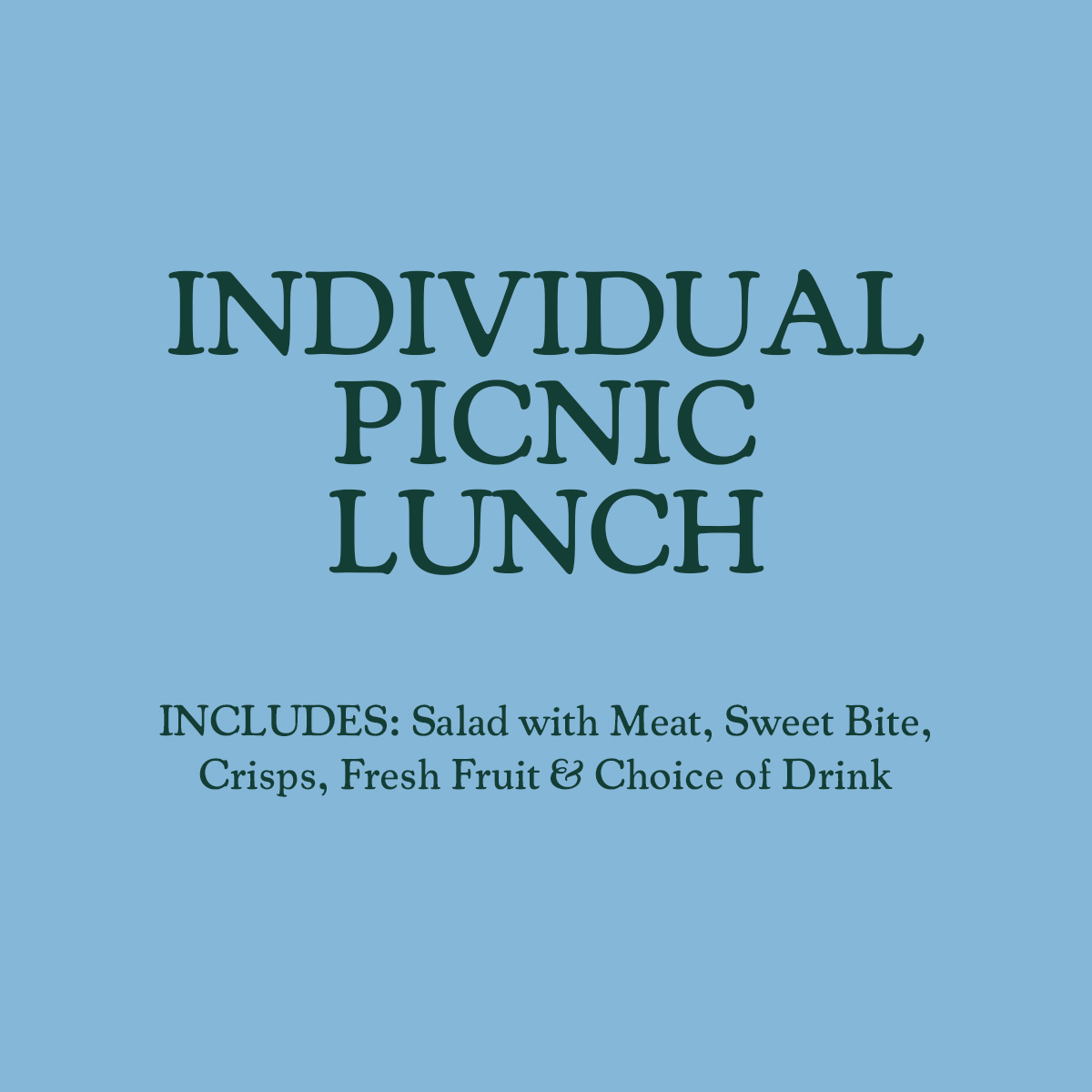 Individual Picnic Lunch - Salad with Protein option